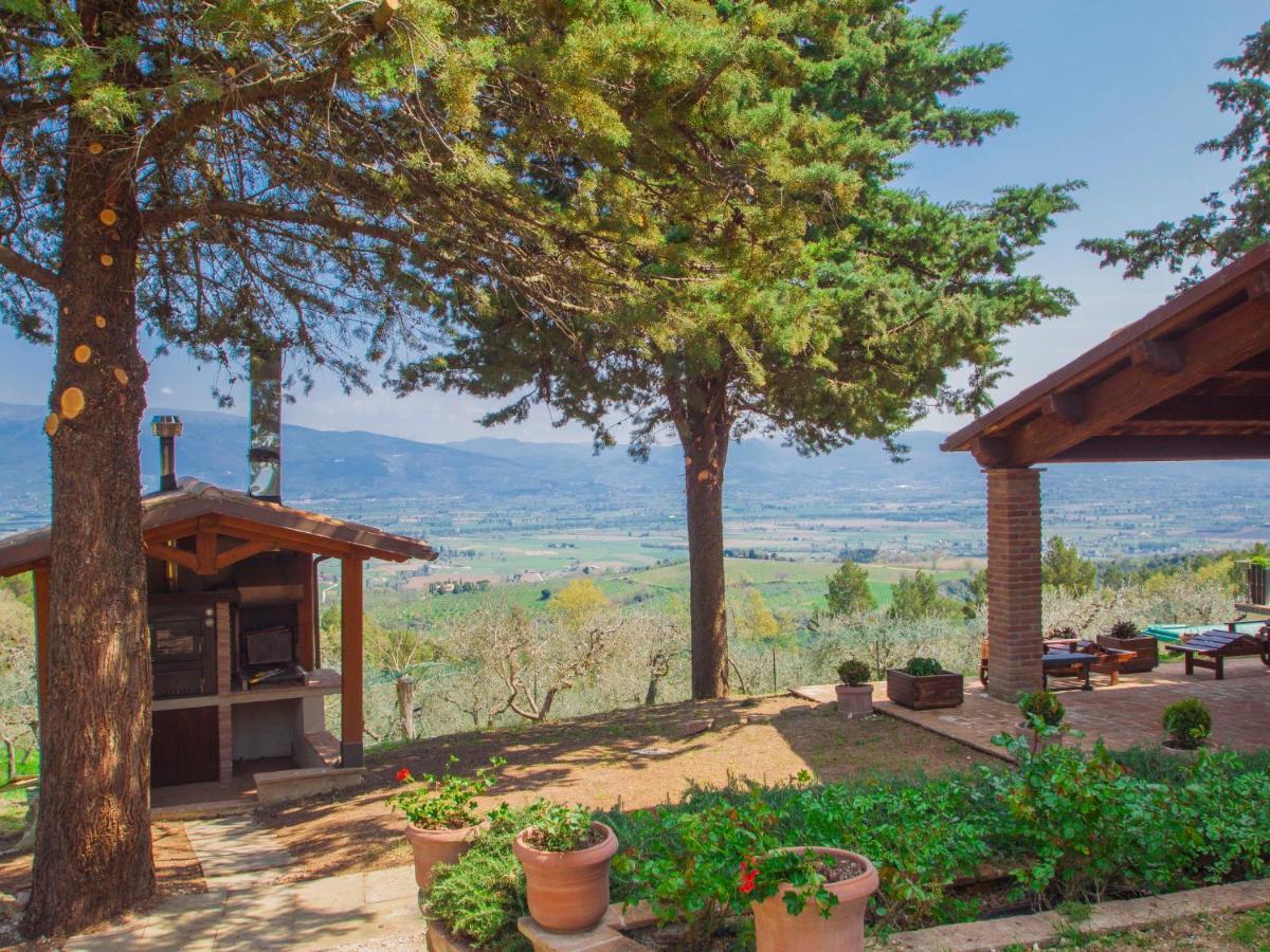 Holiday Home La Letizia By Interhome Collemancio Dış mekan fotoğraf